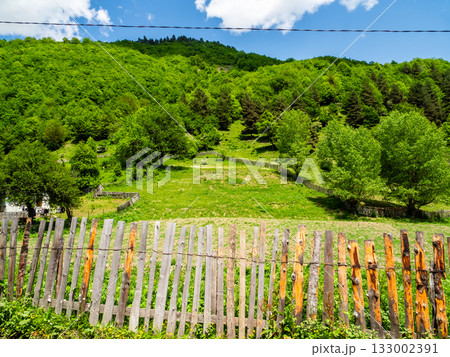 green orchards on mountain slope in Svaneti 133002391