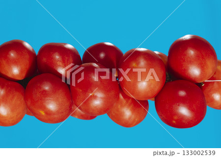 horizontal line of Spanish tomatoes 133002539