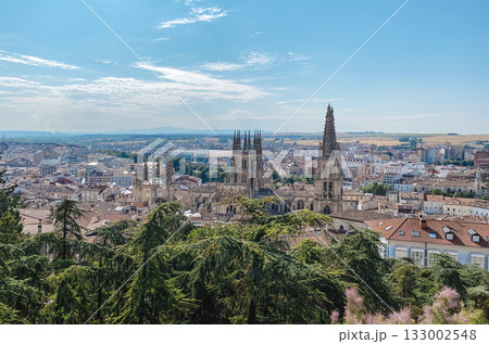a panoramic view of Burgos cathedral and rooftops 133002548