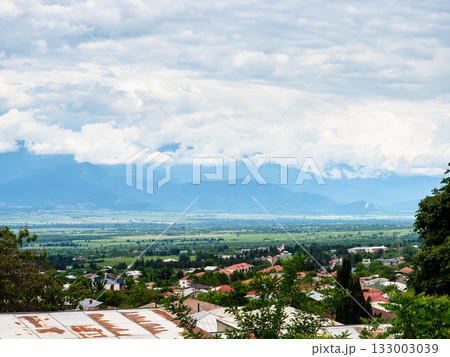 view of Alazani valley from Telavi city in summer view of Alazani valley from Telavi city in summer 133003039