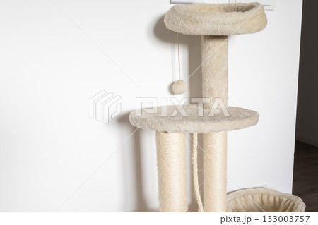 Beige cat tree near wall. Comfort, playfulness, and everyday atmosphere of pet-friendly living space. 133003757