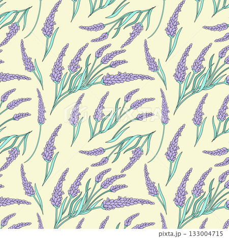 Seamless pattern featuring lavender sprigs. Elegant hand-drawn botanical floral design in soft pastel tones for textiles, gift wrap and home decor. Seamless pattern featuring lavender sprigs. Elegant hand-drawn botanical floral design in soft pastel tones for textiles, gift wrap and home decor. 133004715
