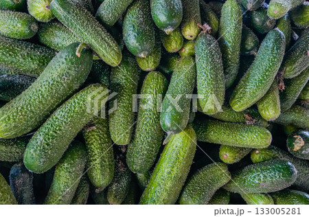 Close-up of fresh cucumbers on a market stall. Vibrant green color, perfect for food, healthy eating, organic farming, and autumn harvest concepts. 133005281