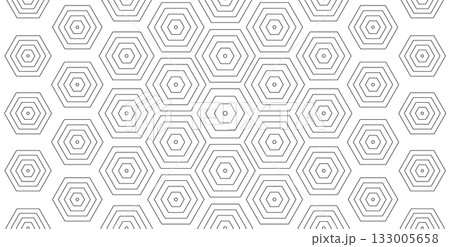 Concentric Hexagonal Pattern, Line Hexagon Geometric Background, Outline Honeycomb Texture BG. Linear Hex Backdrop Wallpaper. White Minimalistic Abstract Backgrounds. Vector Illustration Concentric Hexagonal Pattern, Line Hexagon Geometric Background, Outline Honeycomb Texture BG. Linear Hex Backdrop Wallpaper. White Minimalistic Abstract Backgrounds. Vector Illustration 133005658