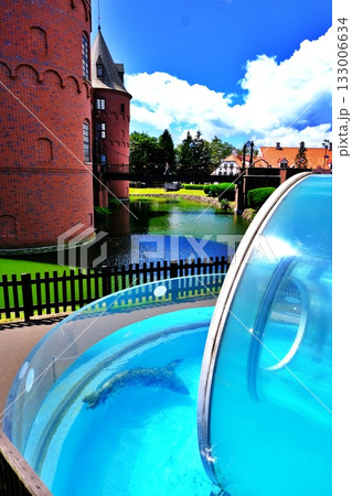 登別マリンパークニクス アザラシリングプール 登別マリンパークニクス アザラシリングプール 133006634