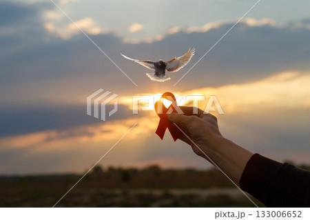 Hope and freedom at sunset with a red ribbon and dove. Hope and freedom at sunset with a red ribbon and dove. 133006652