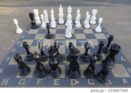 Large chess pieces on an outdoor chessboard for playing chess 133007308