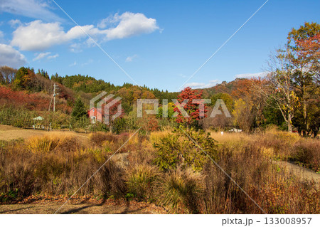秋の中之条ガーデンズ 群馬県中之条町 秋の中之条ガーデンズ 群馬県中之条町 133008957