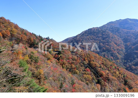 色づく山肌と剣山 (徳島県 日本百名山) 色づく山肌と剣山 (徳島県 日本百名山) 133009196