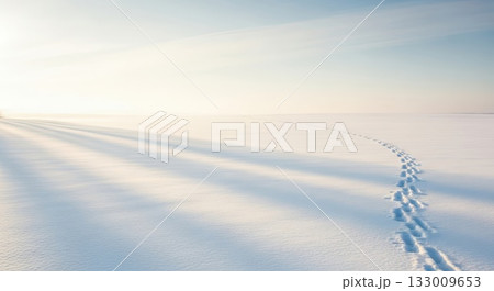 静かな雪原に続くやわらかな足跡の余韻 静かな雪原に続くやわらかな足跡の余韻 133009653