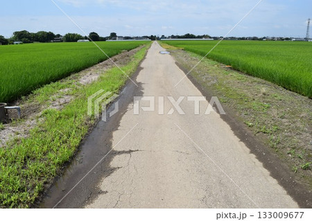 舗装された農道と田園風景 133009677