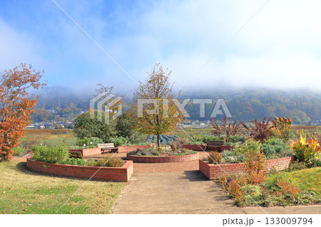 秋の池田町ハーブステーション 花とハーブのガーデン 秋の池田町ハーブステーション 花とハーブのガーデン 133009794