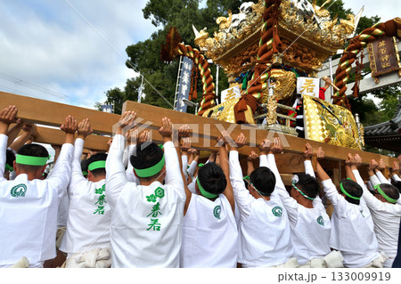 播州姫路の秋祭り　英賀神社　屋台の宮入風景 133009919