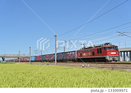 IRいしかわ鉄道を行くEF510レッドサンダー19号機 133009971