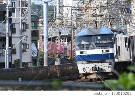 東海道線　戸塚～大船 133010295