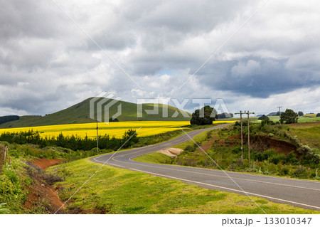 Kenya Photographers By Antony Trivet Photography 133010347