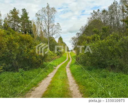 Country dirt track through greenery forest lane perspective to horizon horizontal frame 133010973