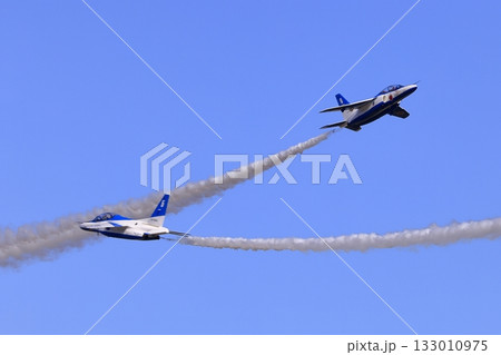 ブルーインパルス 133010975
