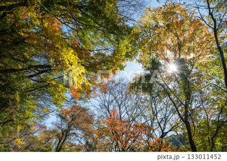 もみじが美しい熊本の紅葉スポット 133011452