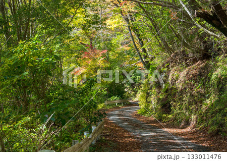 もみじが美しい熊本の紅葉スポット 133011476
