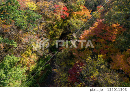 もみじが美しい熊本の紅葉スポット 133011508