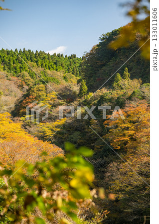 もみじが美しい熊本の紅葉スポット もみじが美しい熊本の紅葉スポット 133011606