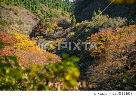 もみじが美しい熊本の紅葉スポット 133011607