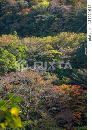 もみじが美しい熊本の紅葉スポット 133011612