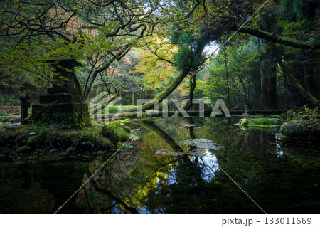もみじが美しい熊本の紅葉スポット もみじが美しい熊本の紅葉スポット 133011669