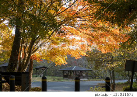 もみじが美しい熊本の紅葉スポット 133011673