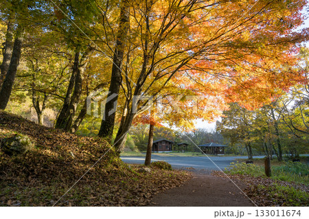 もみじが美しい熊本の紅葉スポット 133011674