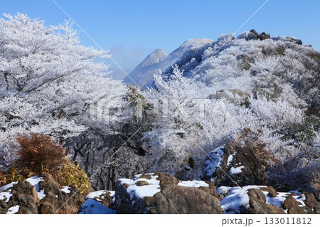 霧氷のくじゅう連山(沓掛山・大分県九重町) 霧氷のくじゅう連山(沓掛山・大分県九重町) 133011812