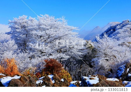 霧氷のくじゅう連山(沓掛山・大分県九重町) 霧氷のくじゅう連山(沓掛山・大分県九重町) 133011813