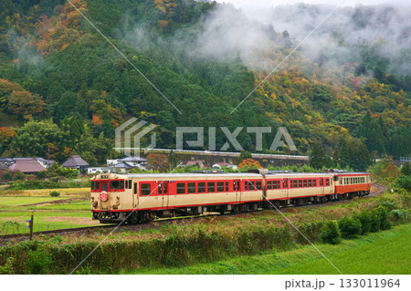 雨上がり 133011964