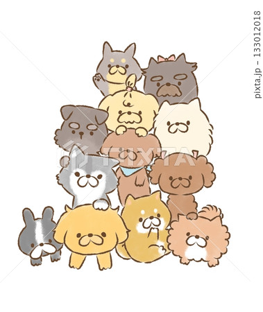 わんこの集い わんこの集い 133012018