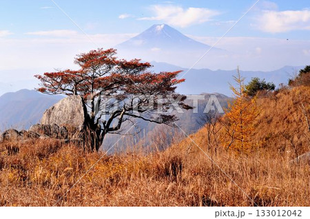 山梨県大月市の白谷ノ丸から草紅葉を前景に富士山 山梨県大月市の白谷ノ丸から草紅葉を前景に富士山 133012042