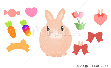 可愛いうさぎとイースターエッグ 133012233