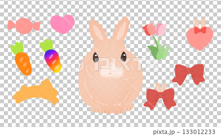 可愛いうさぎとイースターエッグ 133012233