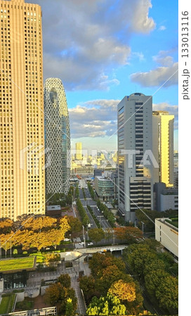 Golden autumn leaves blanket the ground, with vibrant hues of red, orange, and yellow painting the trees. Crisp air and soft sunlight highlight the season’s warmth and cozy charm. 133013116