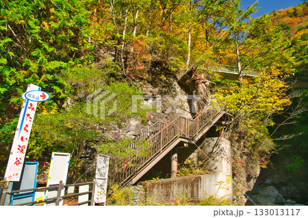 みたらい渓谷の紅葉 【奈良県天川村】 みたらい渓谷の紅葉 【奈良県天川村】 133013117
