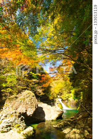 みたらい渓谷の紅葉　【奈良県天川村】 133013119