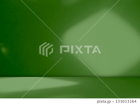 Green Shadow Background Studio Room Photo Empty Gradient Leaf Floor Wall Backdrop Muslin Design Canvas Surface Texture Podium Eco Scene Mockup Product Cosmetic Beauty Organic Display Stand Stage. Green Shadow Background Studio Room Photo Empty Gradient Leaf Floor Wall Backdrop Muslin Design Canvas Surface Texture Podium Eco Scene Mockup Product Cosmetic Beauty Organic Display Stand Stage. 133013164
