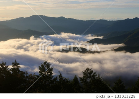 天狗高原・雲海・四国の山々(高知県・津野町) 天狗高原・雲海・四国の山々(高知県・津野町) 133013229