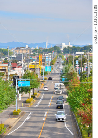 《愛知県》長久手市都市風景　図書館通り 133013288