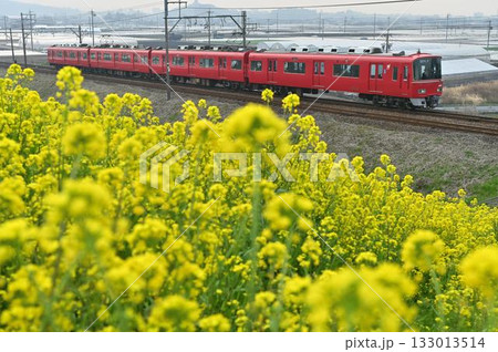 菜の花咲く名鉄各務原線を行く3500系  133013514