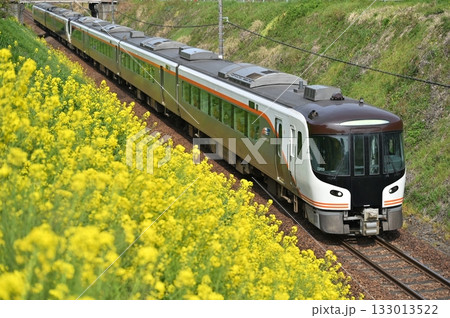 菜の花とHC85系特急ひだ 133013522