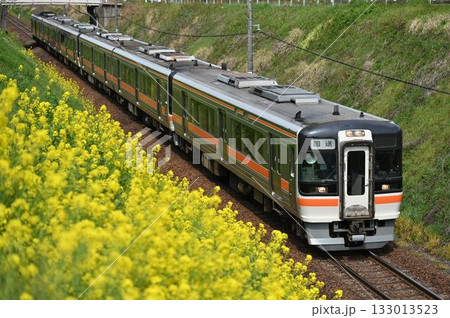 菜の花とキハ75系回送列車 菜の花とキハ75系回送列車 133013523