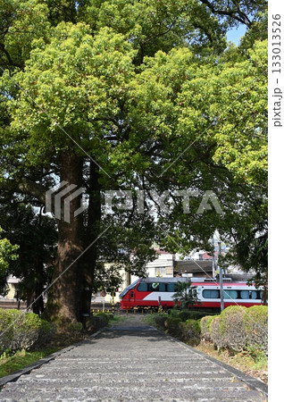 犬山の大杉とパノラマスーパー 犬山の大杉とパノラマスーパー 133013526