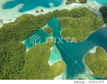 Curved turquoise lagoon channels between green forest islands and shallow reef. Siargao, Philippines. Sugba Blue Lagoon. 133013773