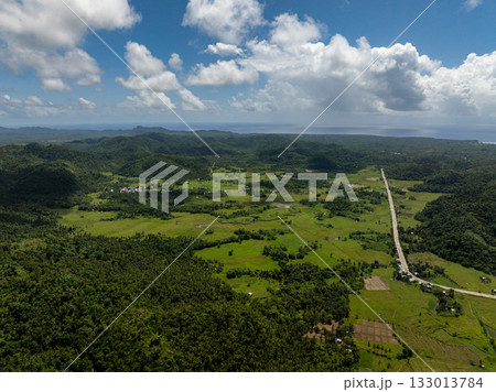 Green valley landscape with road stretching toward horizon and ocean in background. Siargao, Philippines. 133013784